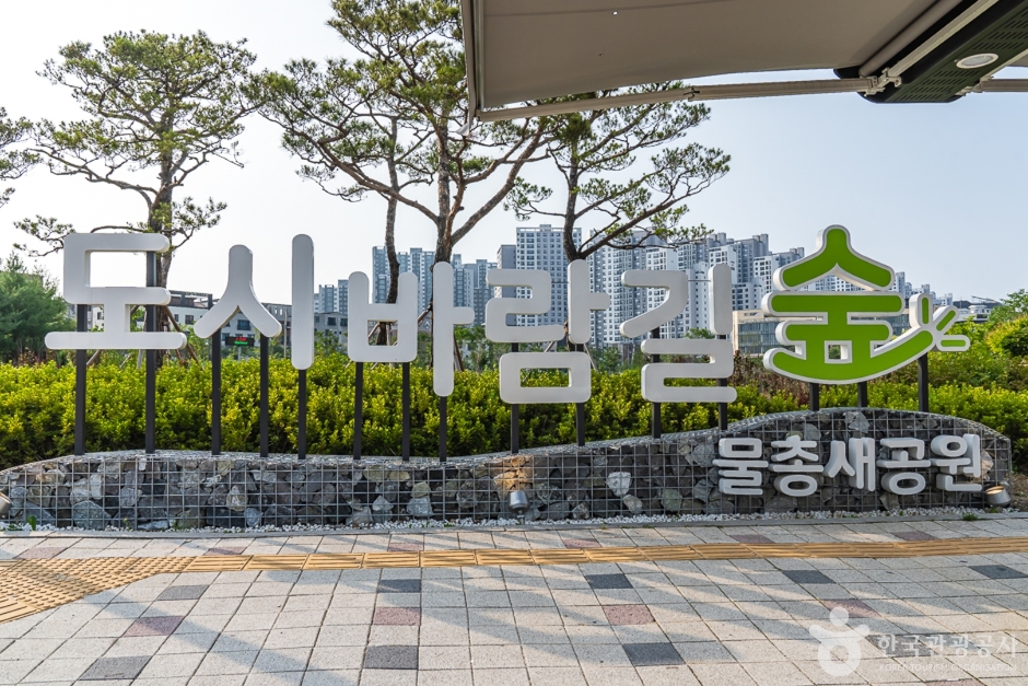물총새공원 여행 추천 - 메고지고 물총새공원 여행 추천 - 메고지고