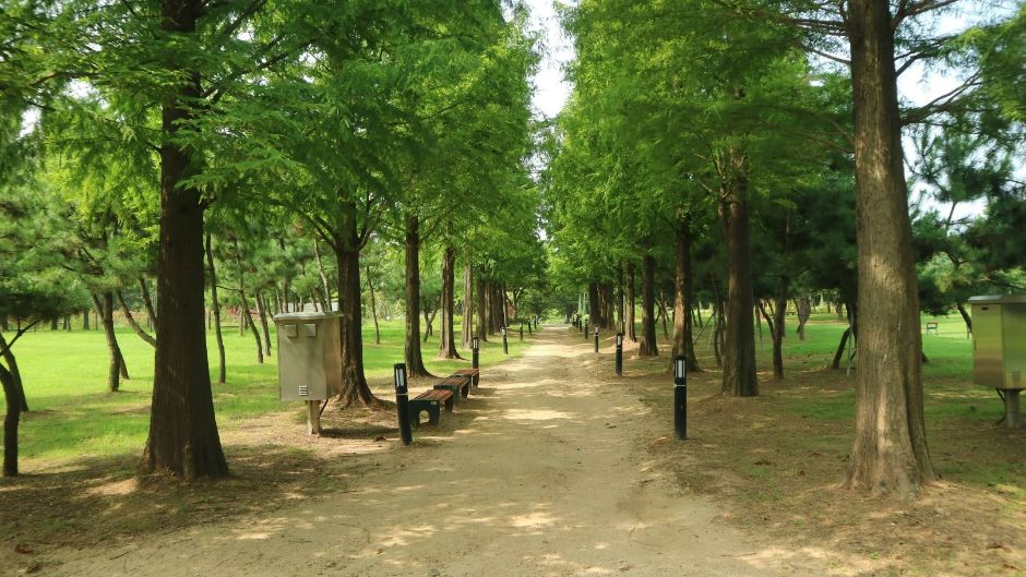 해돋이공원 여행 추천 - 메고지고 해돋이공원 여행 추천 - 메고지고