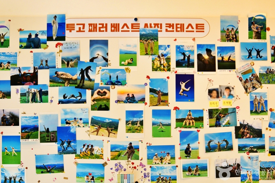 단양 투고 패러글라이딩 여행 추천 - 메고지고 단양 투고 패러글라이딩 여행 추천 - 메고지고