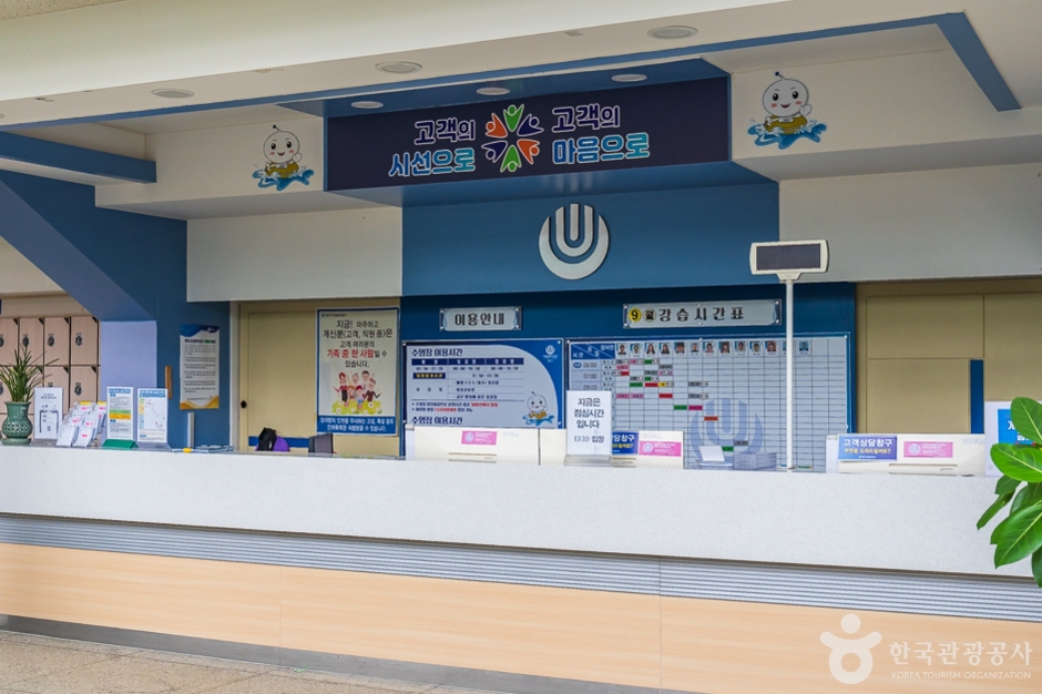 청주실내수영장 여행 추천 - 메고지고 청주실내수영장 여행 추천 - 메고지고