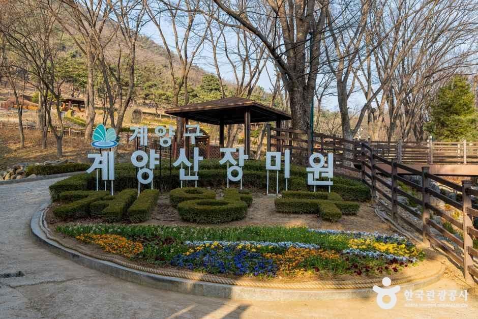 계양공원 여행 추천 - 메고지고 계양공원 여행 추천 - 메고지고