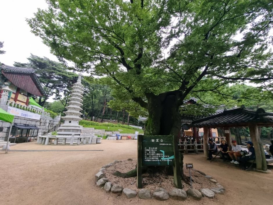 [서울둘레길 12코스] 호암산코스 여행 추천 - 메고지고