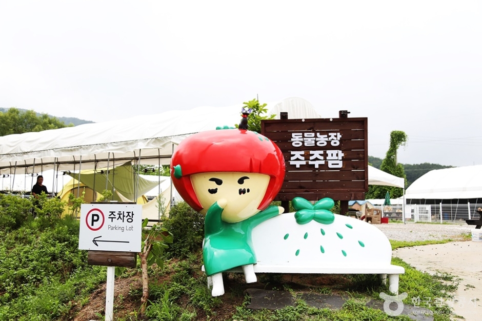 주주팜 동물농장 여행 추천 - 메고지고 주주팜 동물농장 여행 추천 - 메고지고