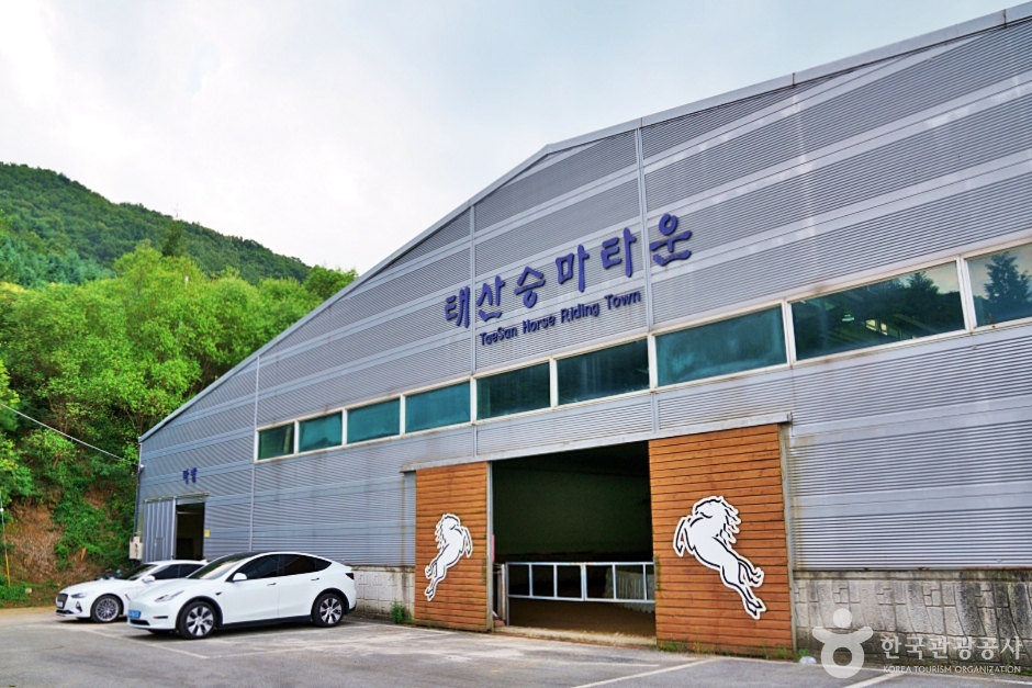 태산승마타운 여행 추천 - 메고지고 태산승마타운 여행 추천 - 메고지고