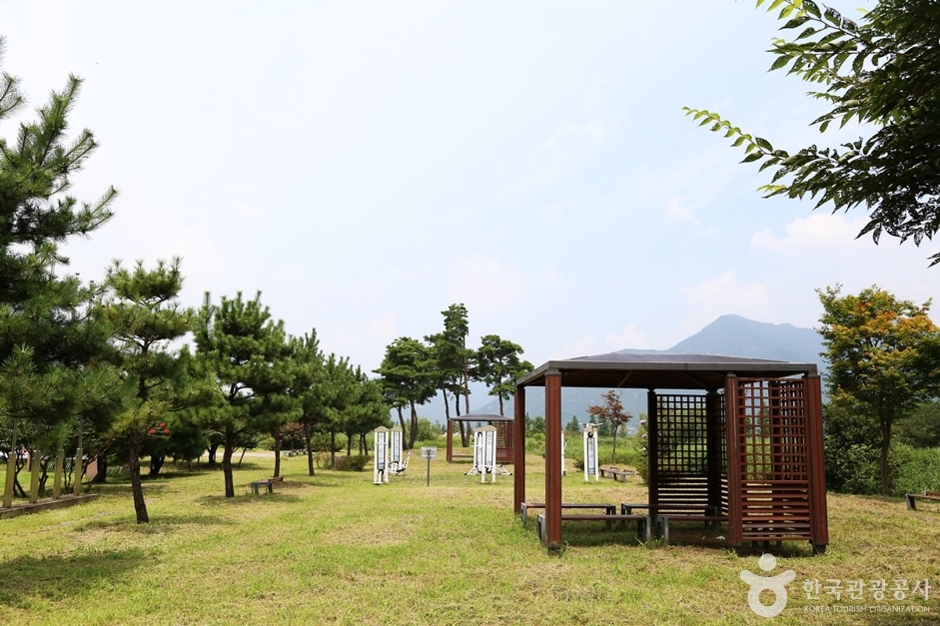 달무리수변공원 여행 추천 - 메고지고 달무리수변공원 여행 추천 - 메고지고