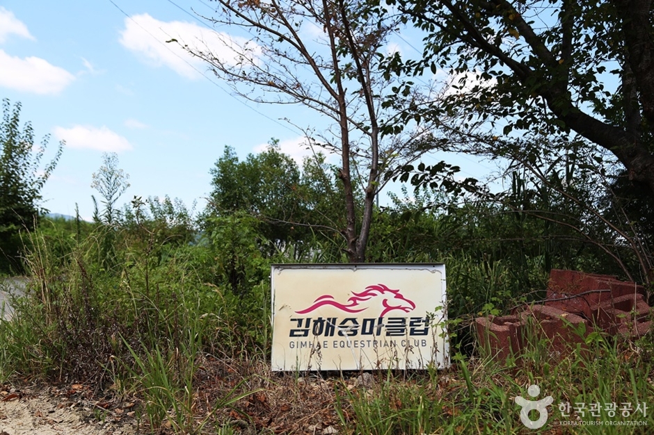 김해승마클럽 여행 추천 - 메고지고 김해승마클럽 여행 추천 - 메고지고