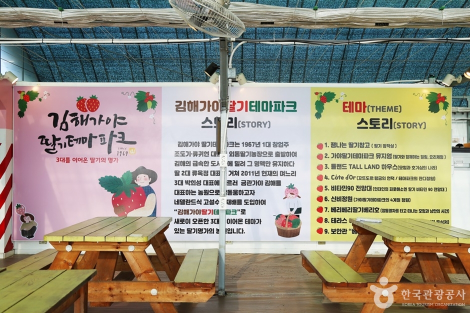 김해가야딸기테마파크 여행 추천 - 메고지고 김해가야딸기테마파크 여행 추천 - 메고지고