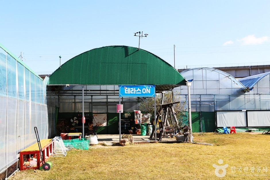 김해가야딸기테마파크 여행 추천 - 메고지고 김해가야딸기테마파크 여행 추천 - 메고지고