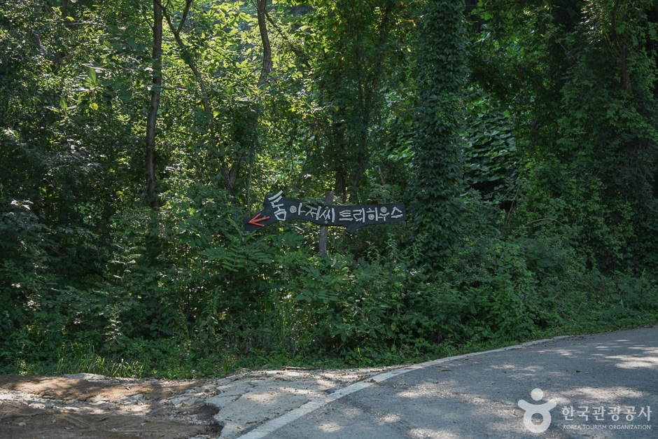 톰아저씨 트리하우스 여행 추천 - 메고지고 톰아저씨 트리하우스 여행 추천 - 메고지고
