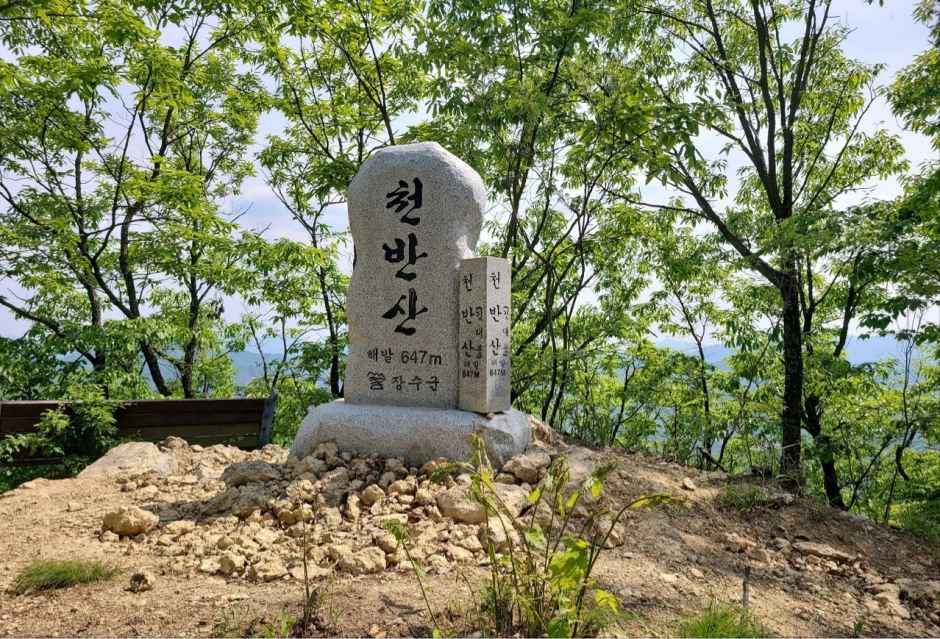천반산 여행 추천 - 메고지고 천반산 여행 추천 - 메고지고