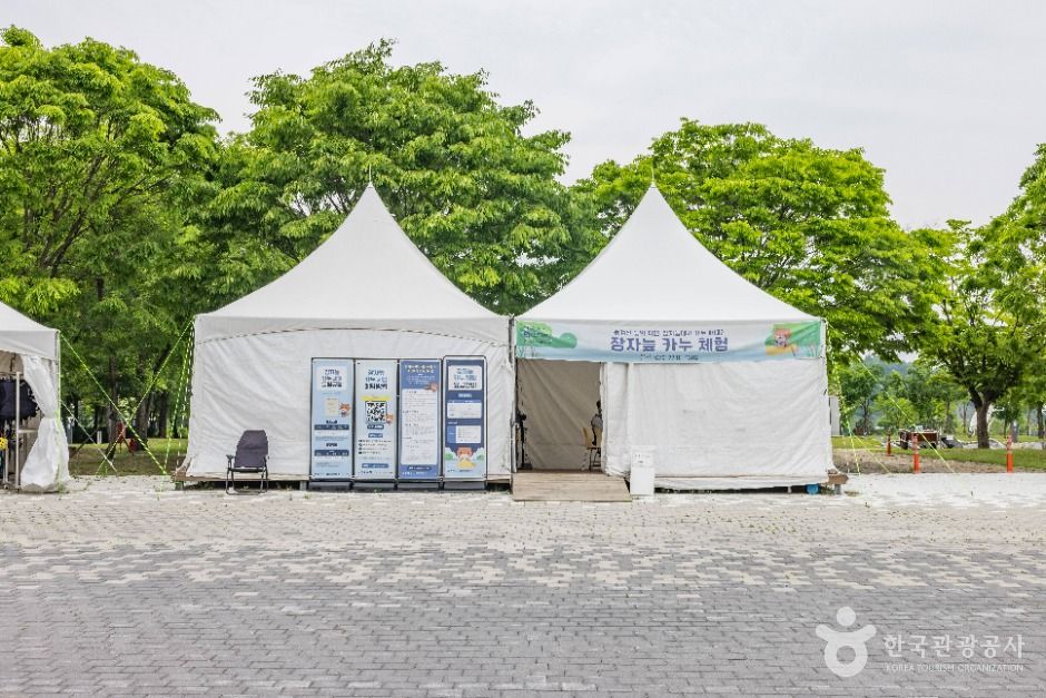 장자늪 카누체험장 여행 추천 - 메고지고 장자늪 카누체험장 여행 추천 - 메고지고