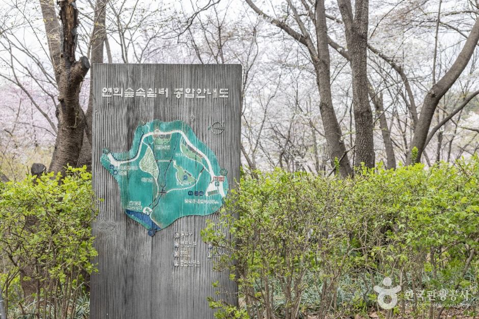 연희숲속쉼터 여행 추천 - 메고지고 연희숲속쉼터 여행 추천 - 메고지고
