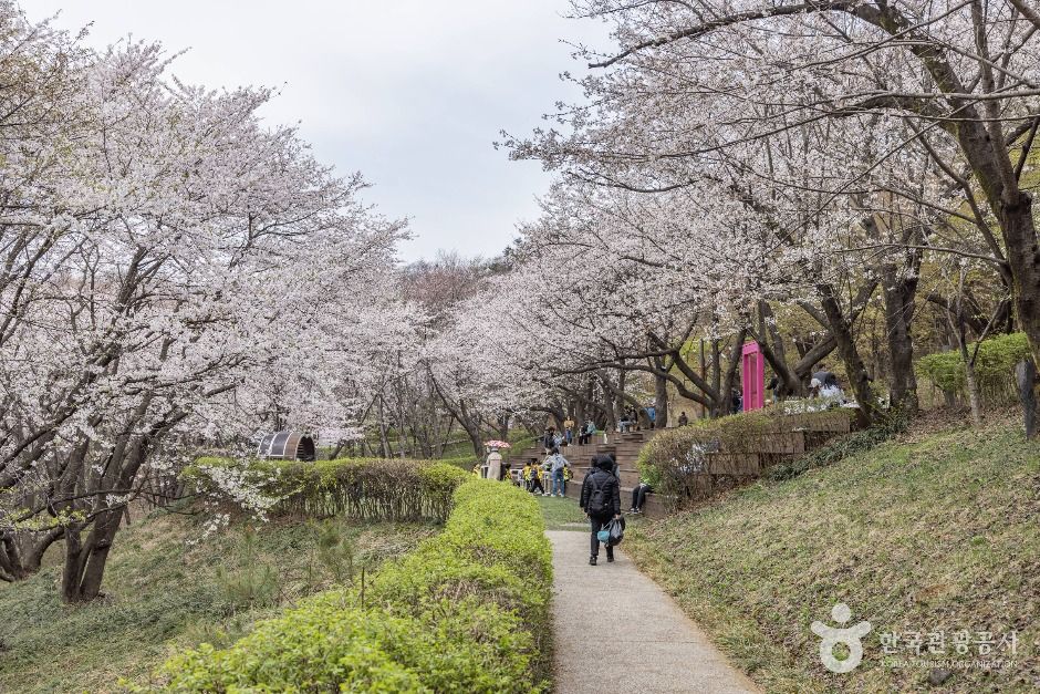 연희숲속쉼터 여행 추천 - 메고지고 연희숲속쉼터 여행 추천 - 메고지고