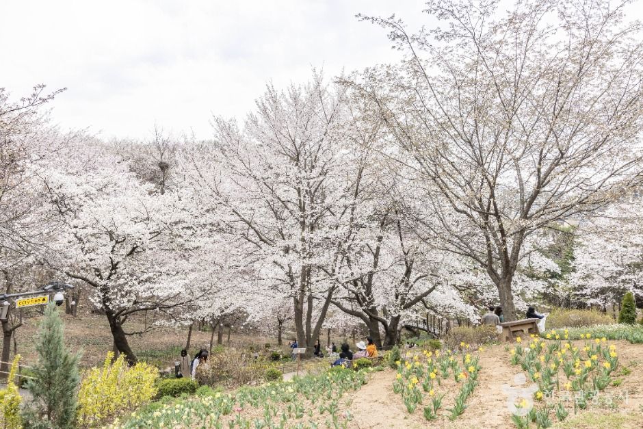 연희숲속쉼터 여행 추천 - 메고지고 연희숲속쉼터 여행 추천 - 메고지고