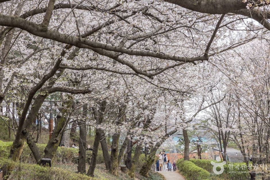 연희숲속쉼터 여행 추천 - 메고지고 연희숲속쉼터 여행 추천 - 메고지고