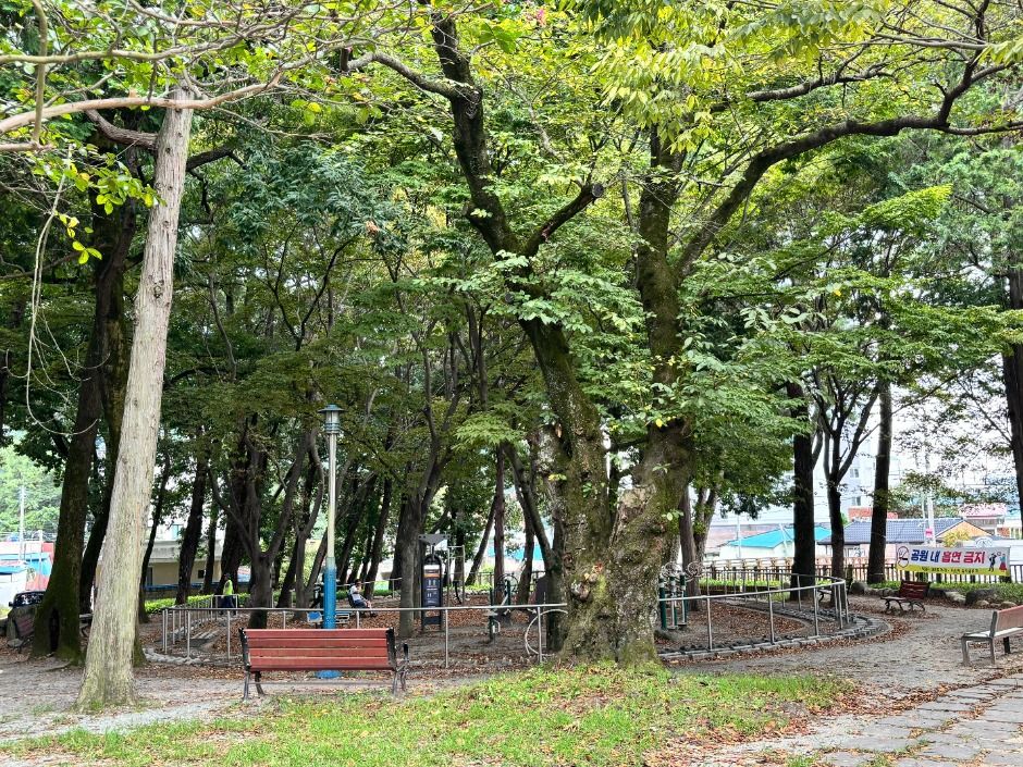 임내숲 어린이공원 여행 추천 - 메고지고 임내숲 어린이공원 여행 추천 - 메고지고