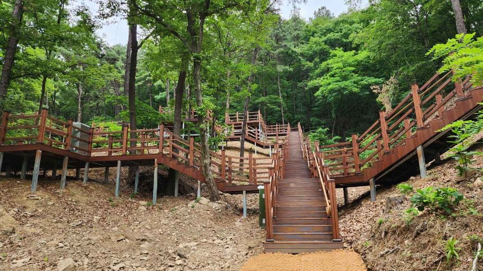 무봉산 자연휴양림 여행 추천 - 메고지고 무봉산 자연휴양림 여행 추천 - 메고지고