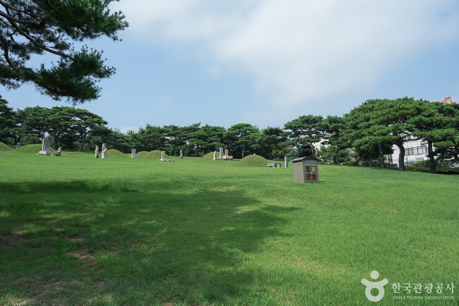 영신공원 여행 추천 - 메고지고 영신공원 여행 추천 - 메고지고