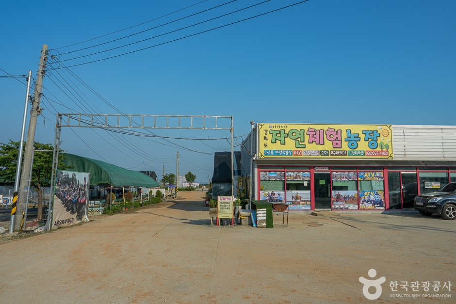 강화도 자연체험농장 여행 추천 - 메고지고 강화도 자연체험농장 여행 추천 - 메고지고