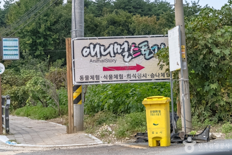 애니멀스토리(강릉) 여행 추천 - 메고지고 애니멀스토리(강릉) 여행 추천 - 메고지고