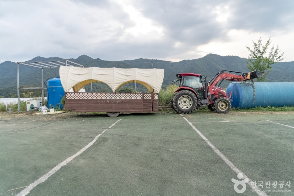 늘푸른체험농원 여행 추천 - 메고지고 늘푸른체험농원 여행 추천 - 메고지고