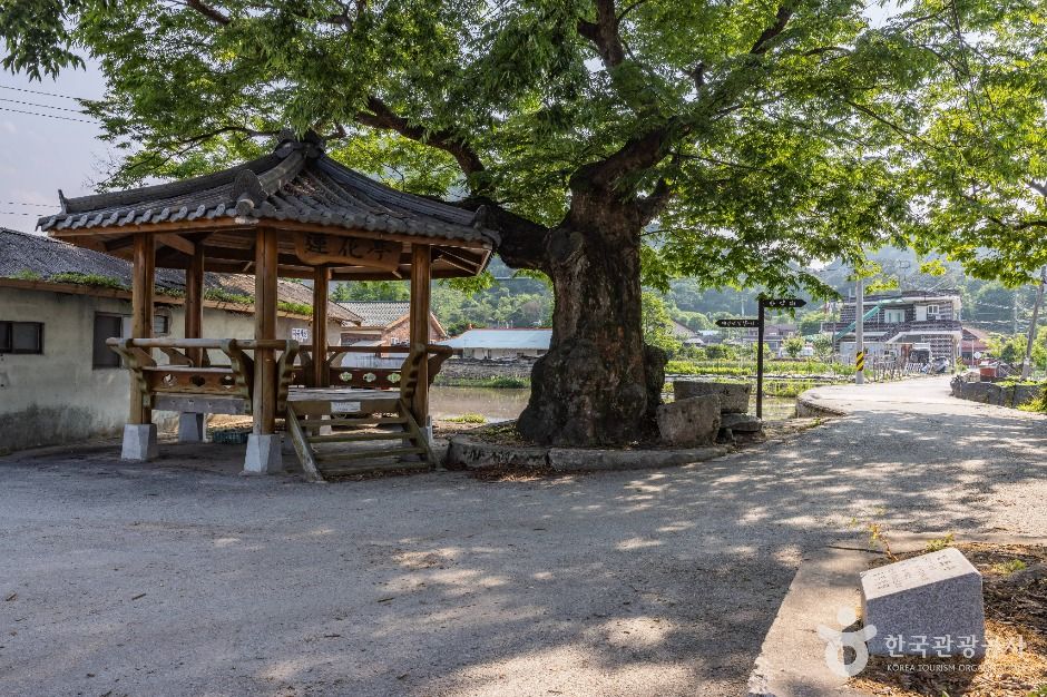 공암마을 여행 추천 - 메고지고 공암마을 여행 추천 - 메고지고