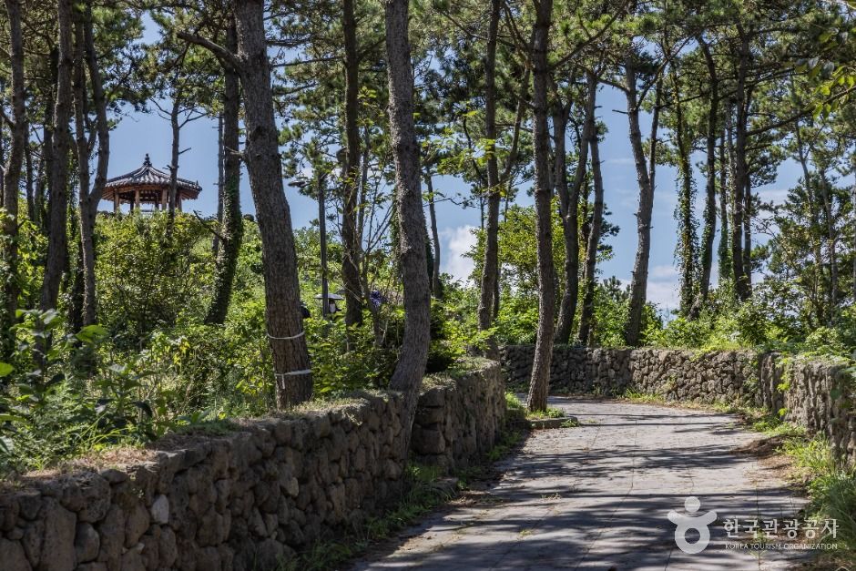 [제주올레 18-2코스] 하추자 올레 여행 추천 - 메고지고