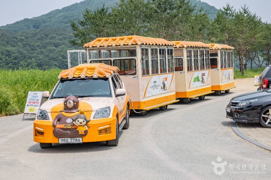 고마열차 여행 추천 - 메고지고 고마열차 여행 추천 - 메고지고