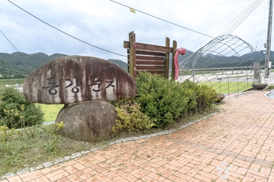 동강둔치공원 여행 추천 - 메고지고 동강둔치공원 여행 추천 - 메고지고
