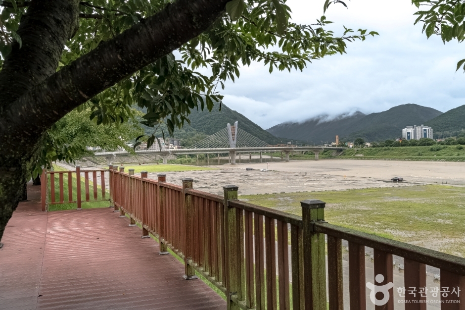 동강둔치공원 여행 추천 - 메고지고 동강둔치공원 여행 추천 - 메고지고