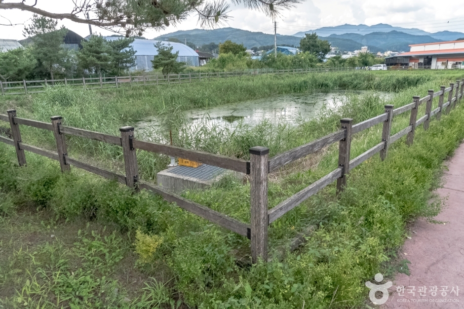 사내체육공원 여행 추천 - 메고지고 사내체육공원 여행 추천 - 메고지고