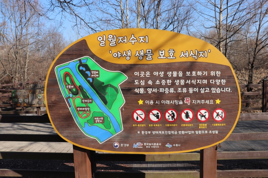 일월공원 여행 추천 - 메고지고 일월공원 여행 추천 - 메고지고