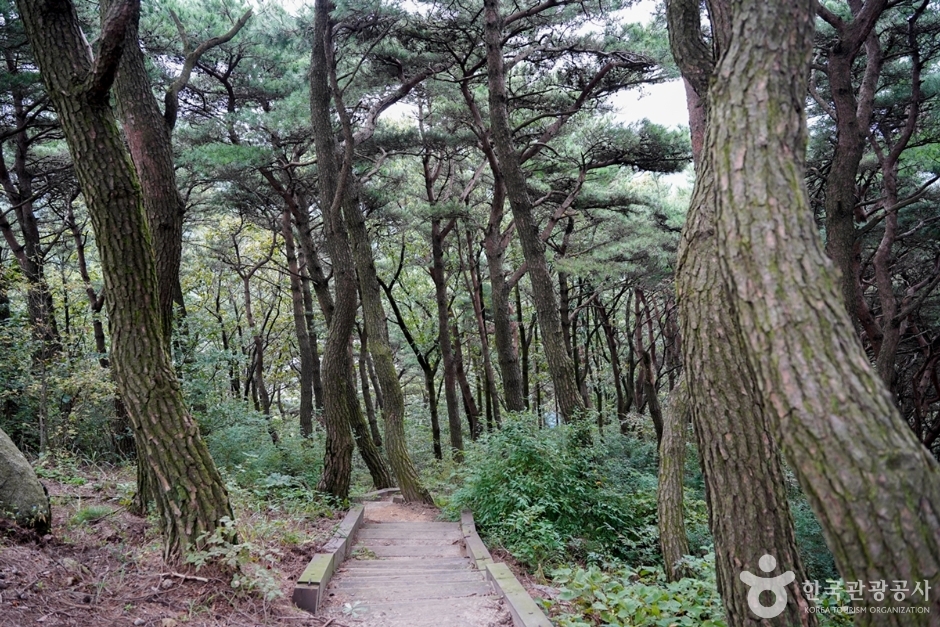 한티재 여행 추천 - 메고지고 한티재 여행 추천 - 메고지고
