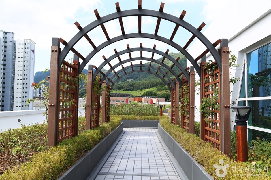 정관아쿠아드림파크 여행 추천 - 메고지고 정관아쿠아드림파크 여행 추천 - 메고지고