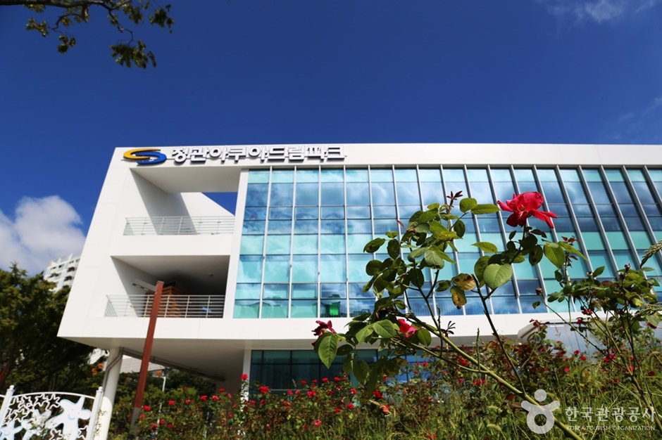 정관아쿠아드림파크 여행 추천 - 메고지고 정관아쿠아드림파크 여행 추천 - 메고지고