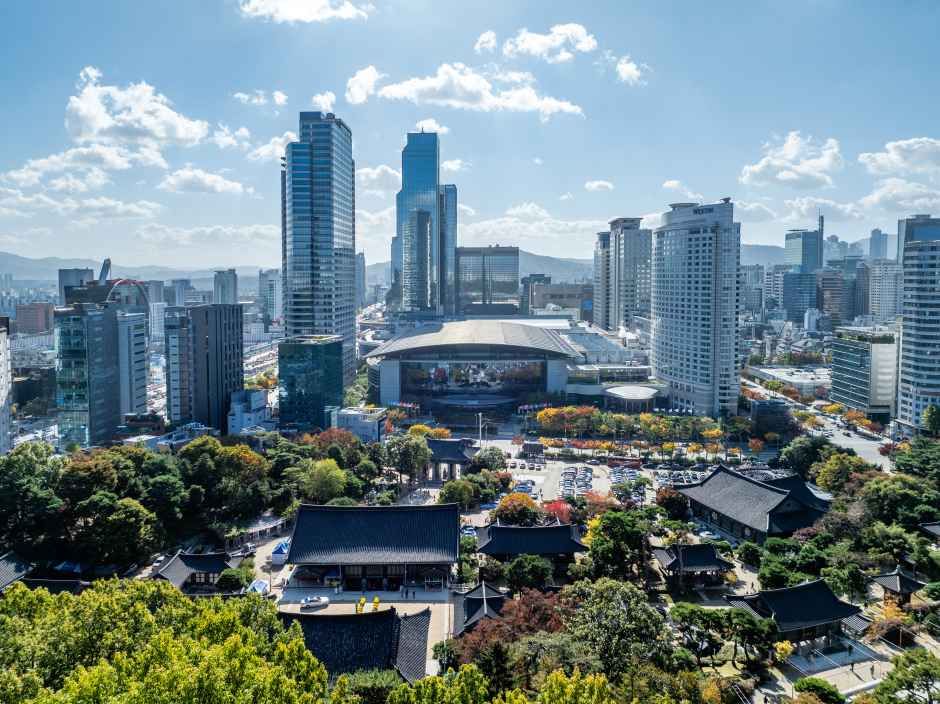 코엑스 오디토리움 여행 추천 - 메고지고 코엑스 오디토리움 여행 추천 - 메고지고