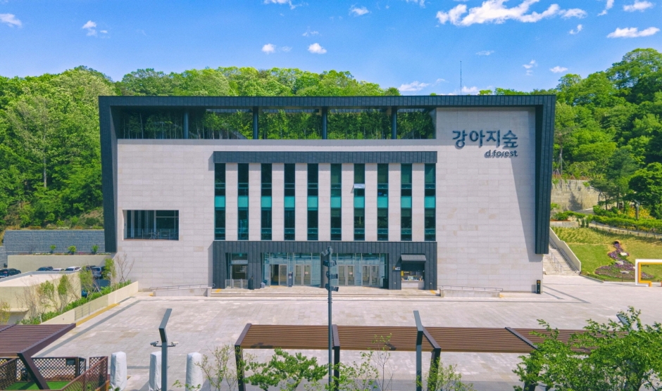 강아지숲 여행 추천 - 메고지고 강아지숲 여행 추천 - 메고지고