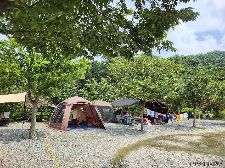 합천 휴테마파크 여행 추천 - 메고지고 합천 휴테마파크 여행 추천 - 메고지고