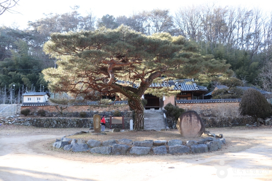 첨백당 여행 추천 - 메고지고 첨백당 여행 추천 - 메고지고