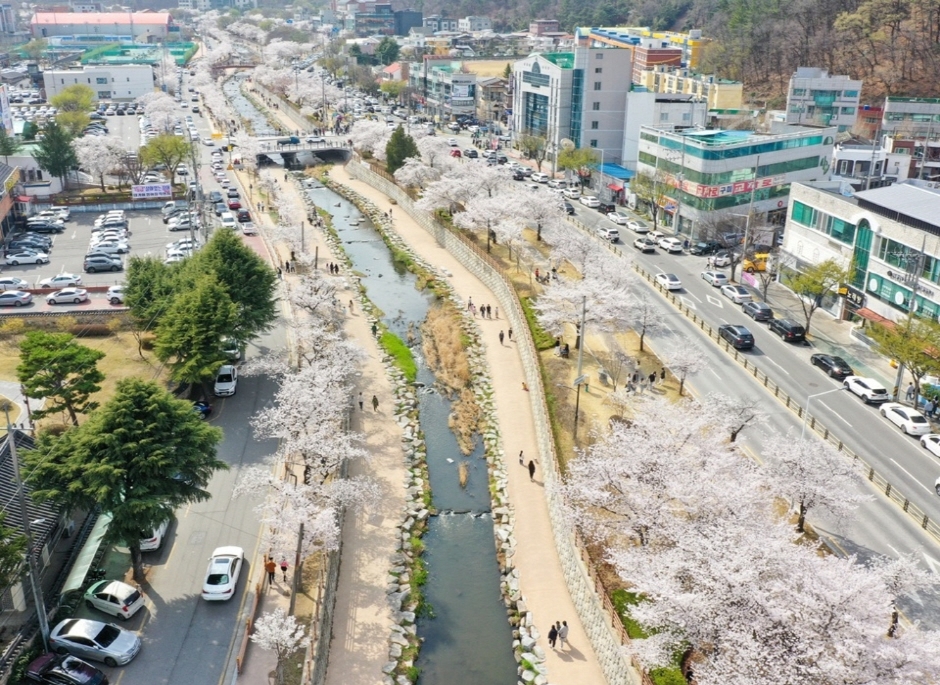 구미 금리단길 여행 추천 - 메고지고