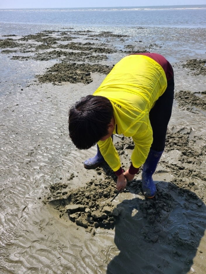 고창해변승마클럽 휘게팜 여행 추천 - 메고지고 고창해변승마클럽 휘게팜 여행 추천 - 메고지고