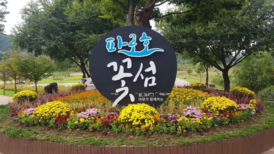 파로호꽃섬 여행 추천 - 메고지고 파로호꽃섬 여행 추천 - 메고지고