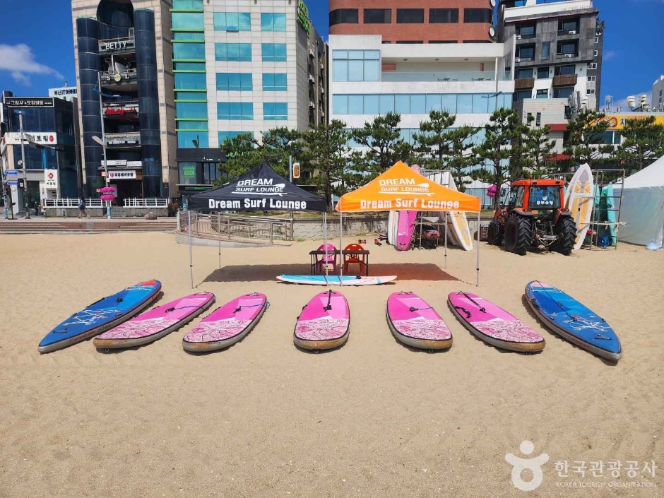드림서프라운지 여행 추천 - 메고지고 드림서프라운지 여행 추천 - 메고지고