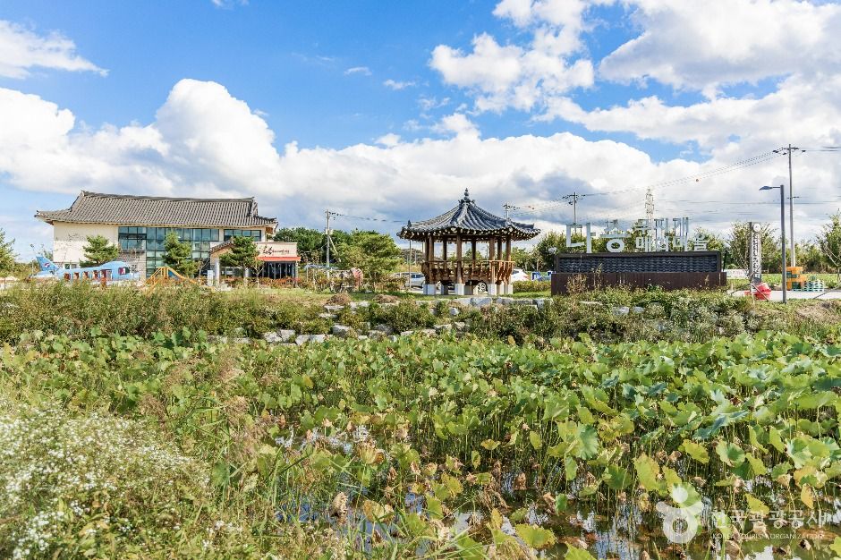 다송무지개매화마을 여행 추천 - 메고지고 다송무지개매화마을 여행 추천 - 메고지고