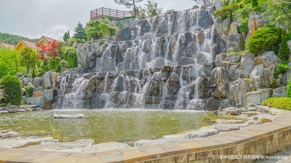 용인자작나무숲 여행 추천 - 메고지고 용인자작나무숲 여행 추천 - 메고지고