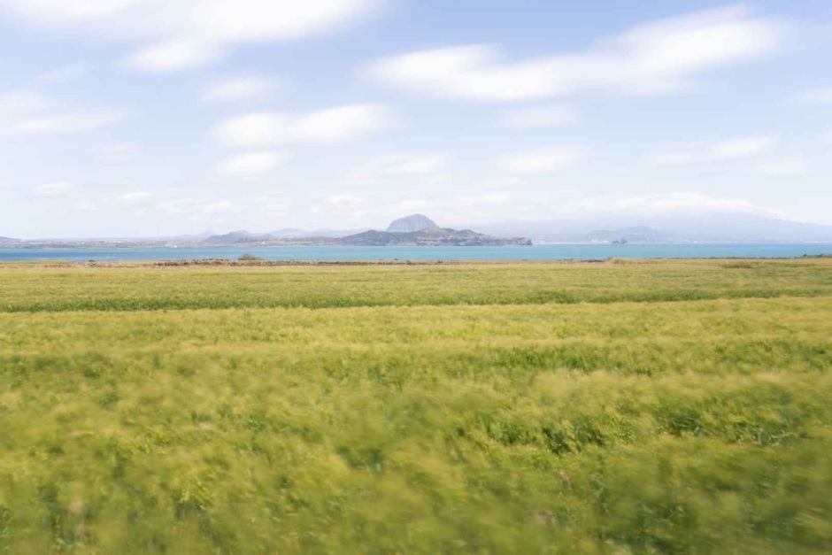 가파도 소망전망대 여행 추천 - 메고지고 가파도 소망전망대 여행 추천 - 메고지고