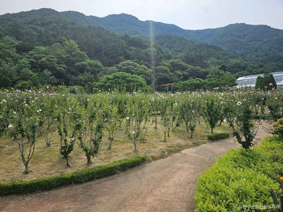 고산문화공원 여행 추천 - 메고지고 고산문화공원 여행 추천 - 메고지고