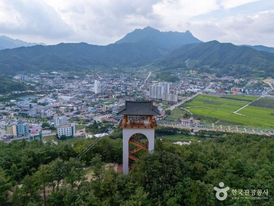 봉명산 출렁다리 여행 추천 - 메고지고 봉명산 출렁다리 여행 추천 - 메고지고