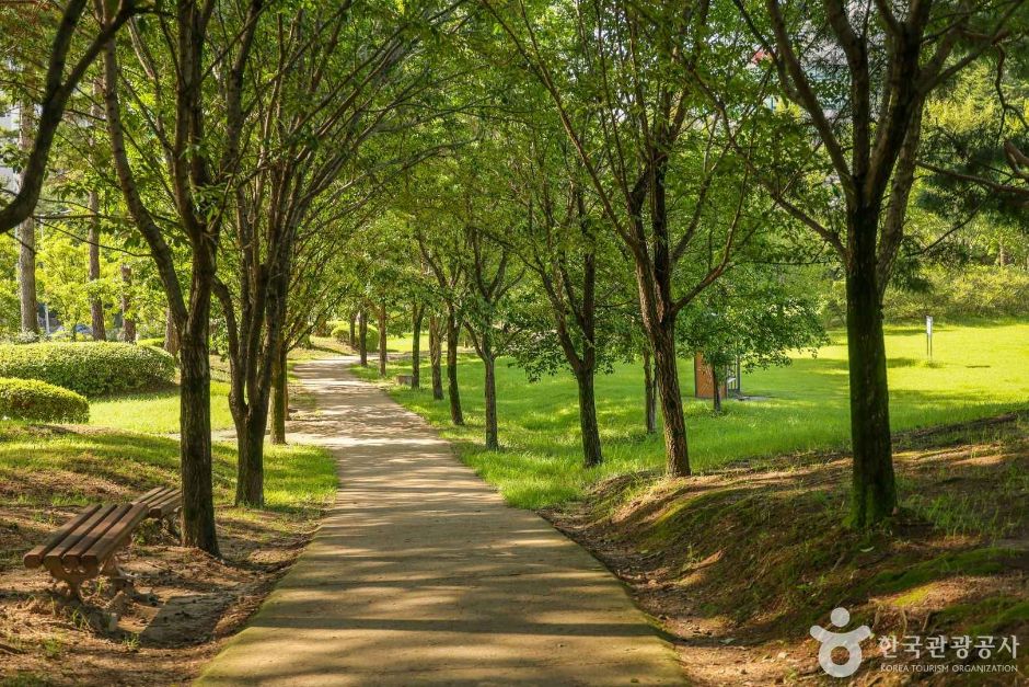 들의공원 여행 추천 - 메고지고