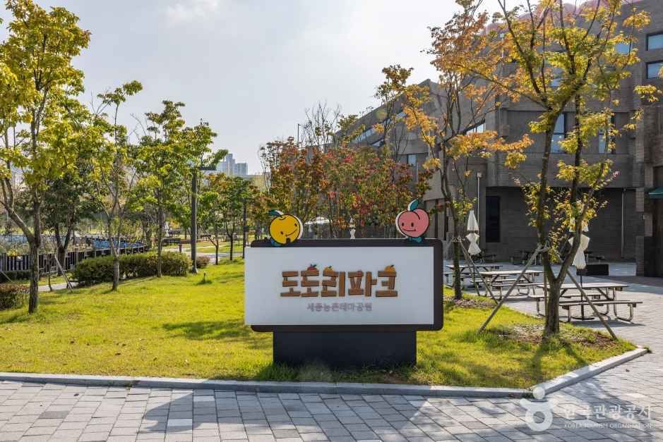 농촌테마공원 도도리파크 여행 추천 - 메고지고